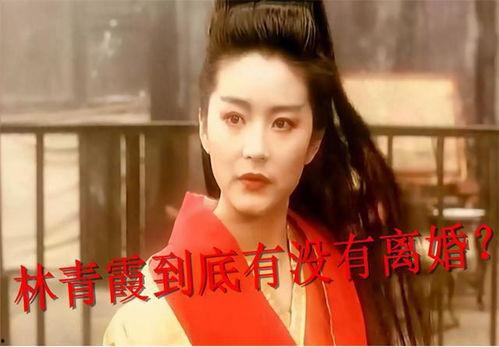 娱记爆料周海媚穷人视频,娱记揭露惊人真相